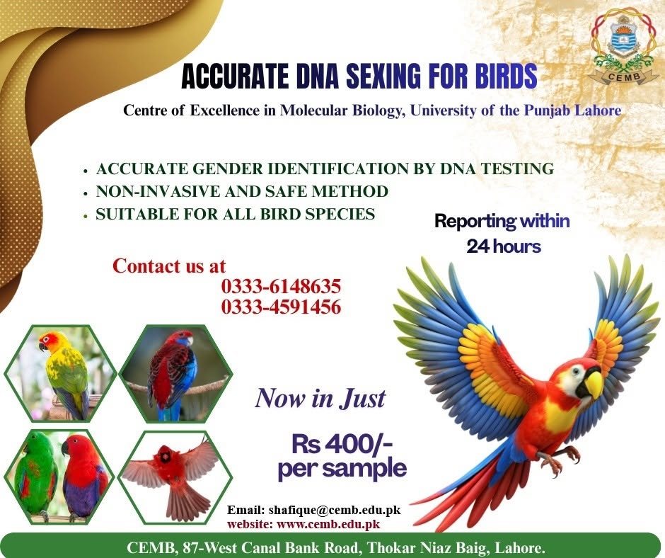 Avian genetics molecular sexing research visual